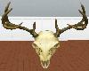 deer skull 2