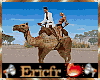 [Efr] Camel Walk GA