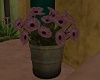 (X)PT  Flowered bucket
