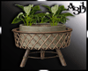 A3D* Pot Wiched Plant