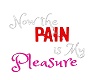 Pain and Pleasure Decal