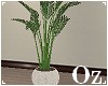 [Oz] - Plant in pot 1