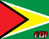 Animated Guyana Flag