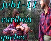 (shan)jvb1-11 quebec