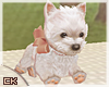 🅺 Glam Puppy