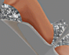 Diamond Silver Shoe