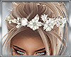 B* Bride Headflowers