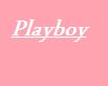 Playboy bunny