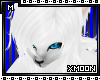 [xM]White Wolf Hair V1