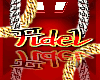 N|CustomChain|Fidel