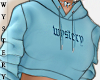 ⓦ WYS Hoodie Blue II