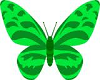 Do.Butterfly green