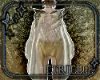 Celestia Cape
