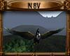 ! N8V Flying Eagle Ride