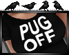 [Maiba] Pug Off