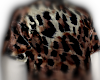 Leopard |Stack|