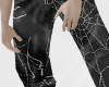 spider DRV.