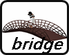 bridge brown
