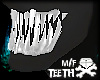 !DB SHARK TEETH m/f