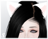 Kawaii Kitten Ears *S*