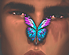 Butterfly Universe