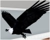 Black Night Eagle