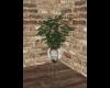 Flower pot+plant