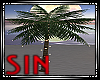 Island Palm