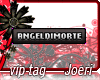 j| Angeldimorte-