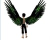 Green n Black Goth Wings