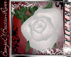 [B]White Rose~Sticker[2]