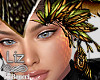Harpy Eye Feathers