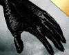✶Arcis Gloves