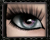 [E]*Violet Flower*