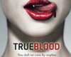 True Blood Sticker 1