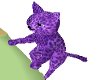 purple lepard