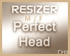 Resizer Perfect V3 Head