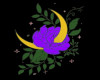 Moon and Violet Rose