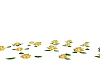 Animated gold roses