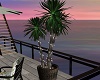 Evasion plant