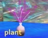 opal o plant