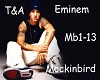Eminem mockinbird