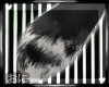 O &bull; COAL tail