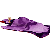Purple rose blanket