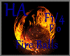 [HA]DJ Fire Balls