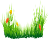 Spring Flowers-2