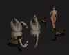 Geese & Ducks