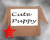 Cute Puppy Box