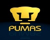 Pumas Escudo