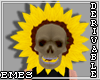 Skull Sunflower Head M